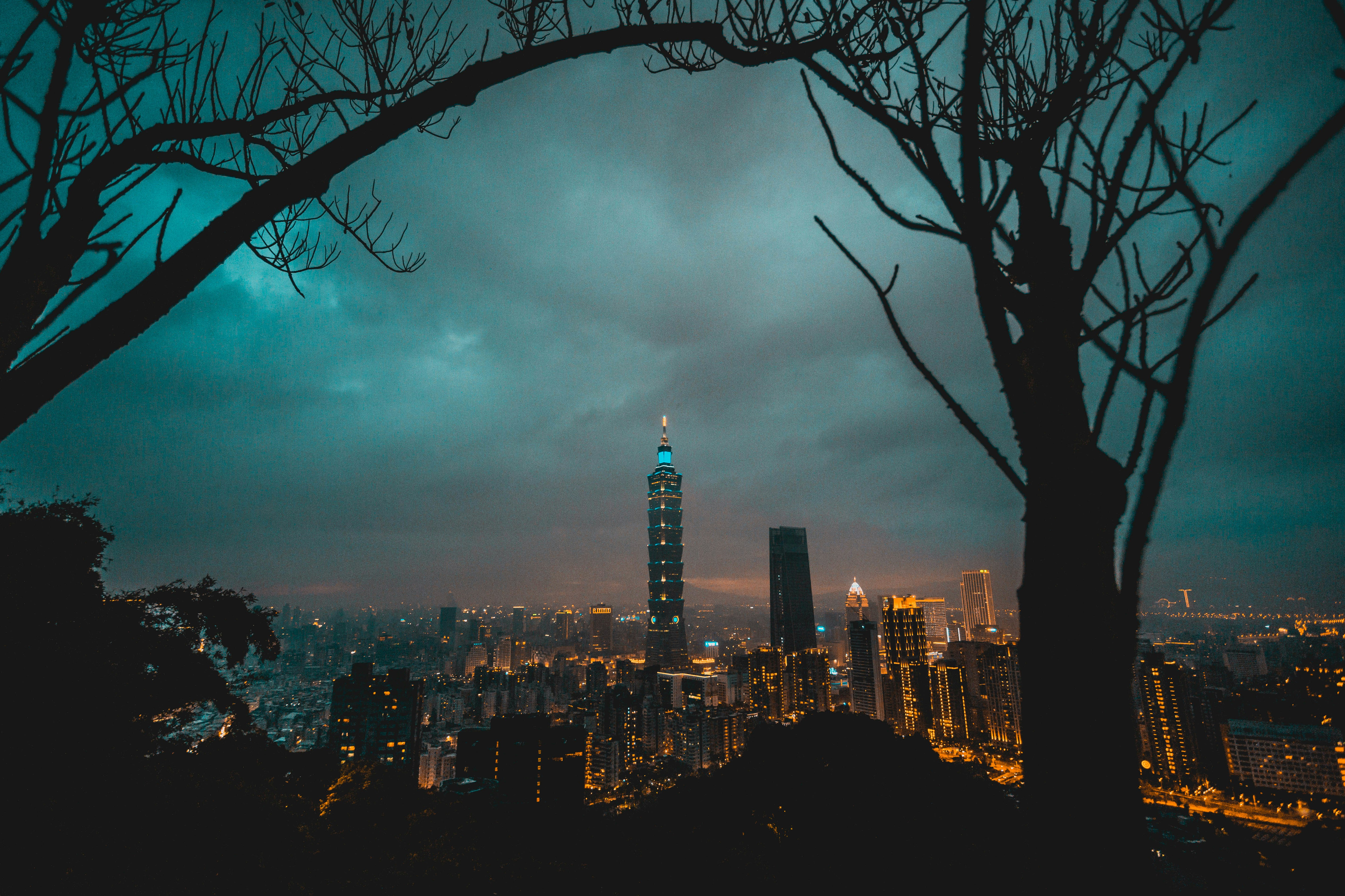 silhouette of bare trees with cityscape background